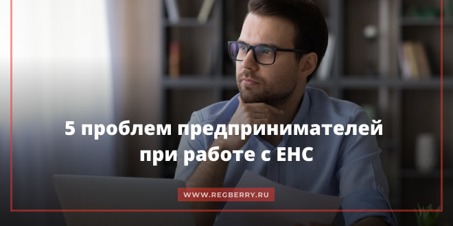 Проблемы предпринимателей при работе с ЕНС