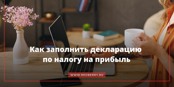 Как заполнить декларацию по налогу на прибыль