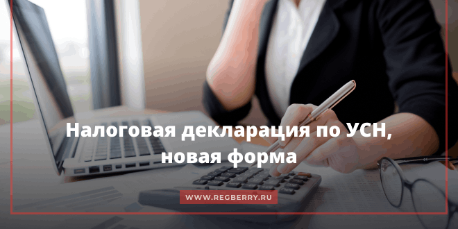 Налоговая декларация по УСН за 2024 год, новая форма