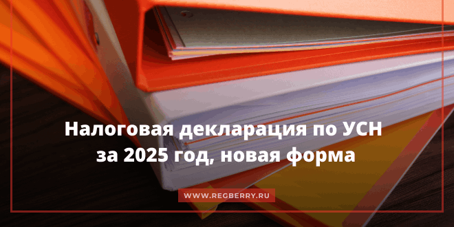 Налоговая декларация по УСН за 2025 год, новая форма