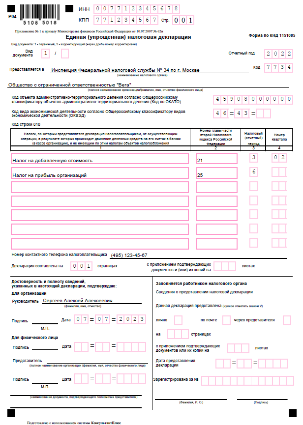 Единая упрощенная налоговая декларация. Единая упрощенная налоговая декларация образец. Единая упрощенная налоговая декларация бланк 2023. КНД 1151085.