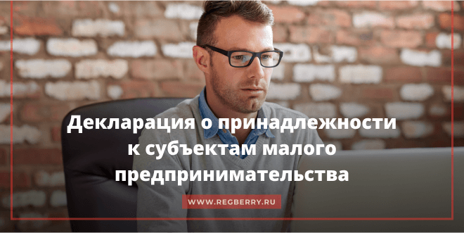 Декларация о соответствии субъектам малого бизнеса