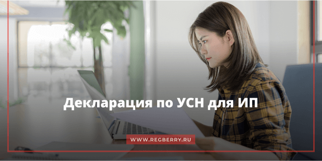 Декларация УСН для ИП