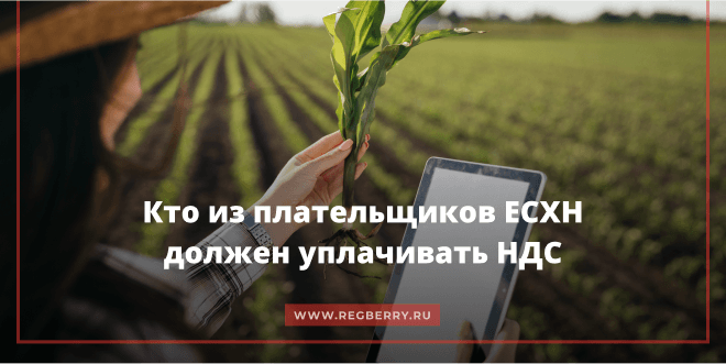 Кто из плательщиков ЕСХН должен уплачивать НДС