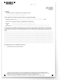 Форма Р11001 страница 8