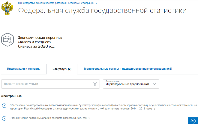 Заполнение формы 1-предприниматель на сайте Госуслуг - экономическая деятельность