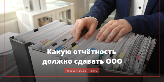 Перечень отчетности, которую сдает ООО