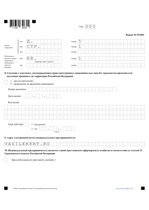 Форма 21001. Стр. 3. Образец заполнения.