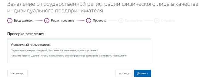Регистрация ИП на портале Госуслуги. Шаг 8 - успешная проверка