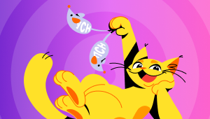 Сдача отчетности ИП