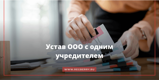 Устав ООО с одним учредителем